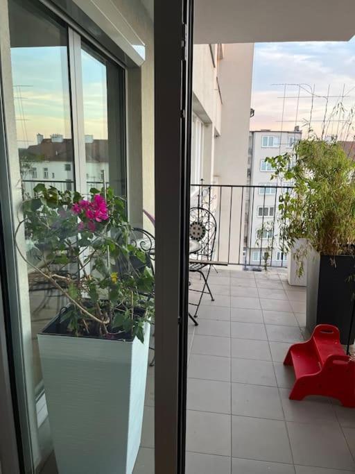 In Historical Center With Park View Apartment